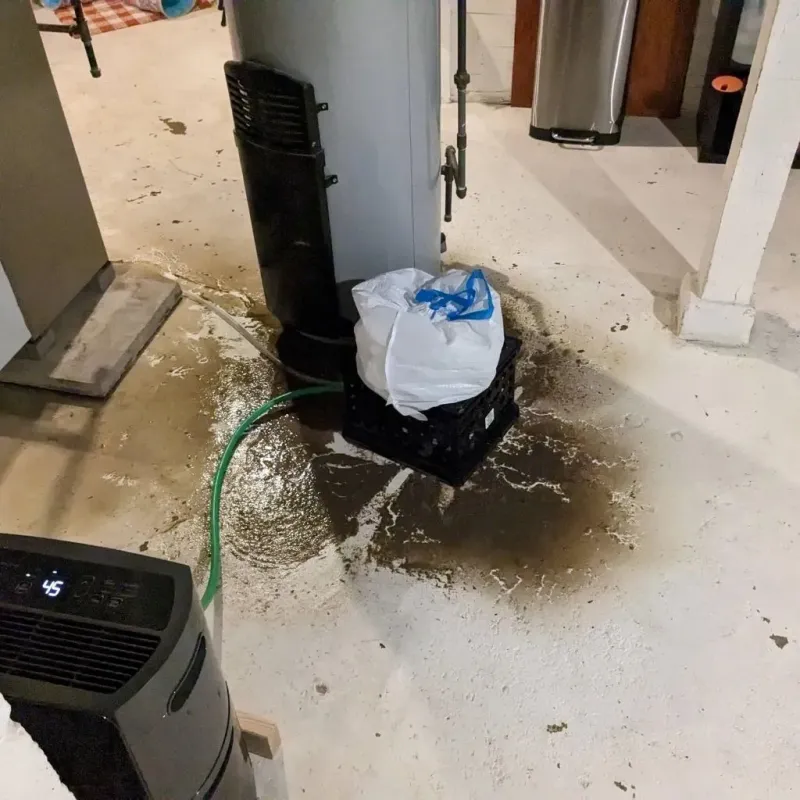 Sewage Backup Cleanup Service in Todd County, SD